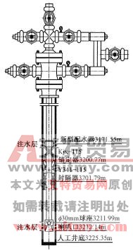 西10-7井分注管柱結構示意圖